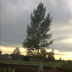 Meet your Posher, Kyra